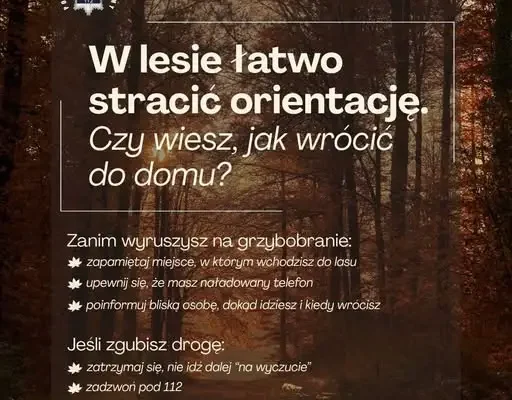 Zgubiła się w lesie podczas grzybobrania. Pomógł policyjny śmigłowiec