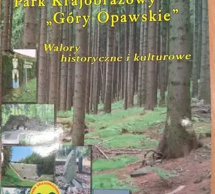 Klasy 7a i 7c z PSP Biała odkrywały Góry Opawskie – pogoda pokrzyżowała plany, ale warsztaty i pizza wynagrodziły wszystko